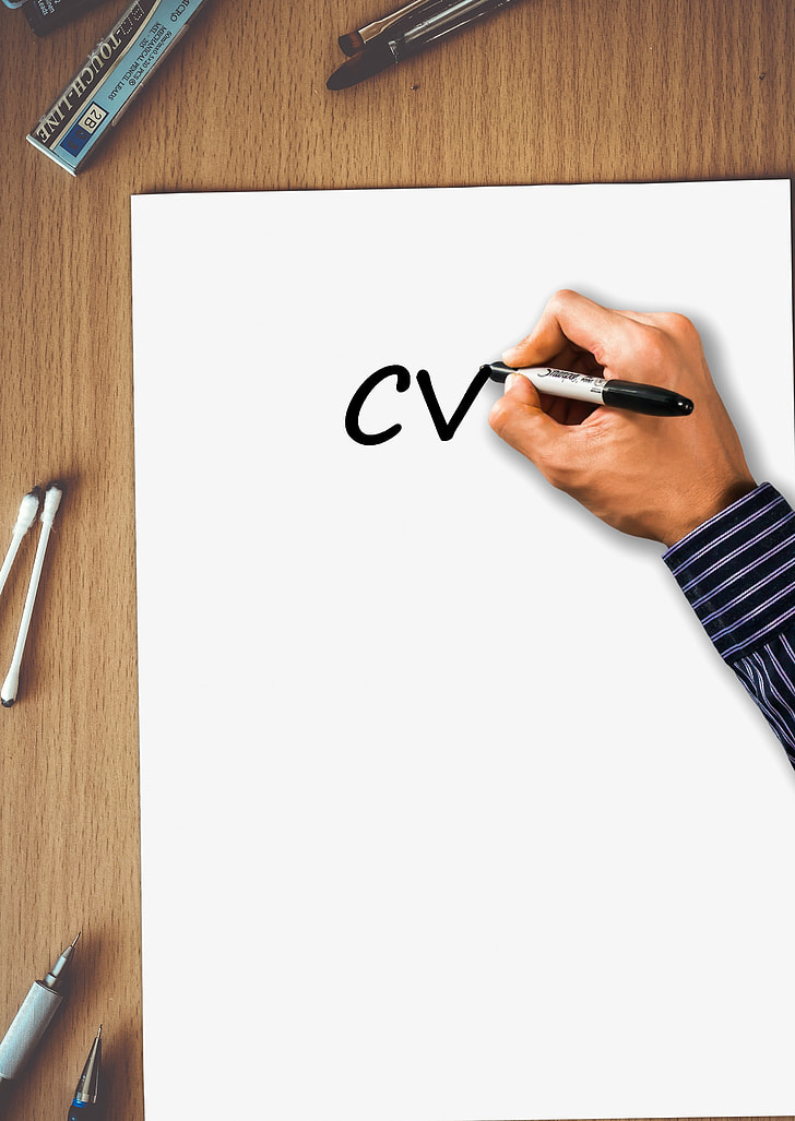 Human Resources Manager Lady Reading CV Selecting Employees In Office